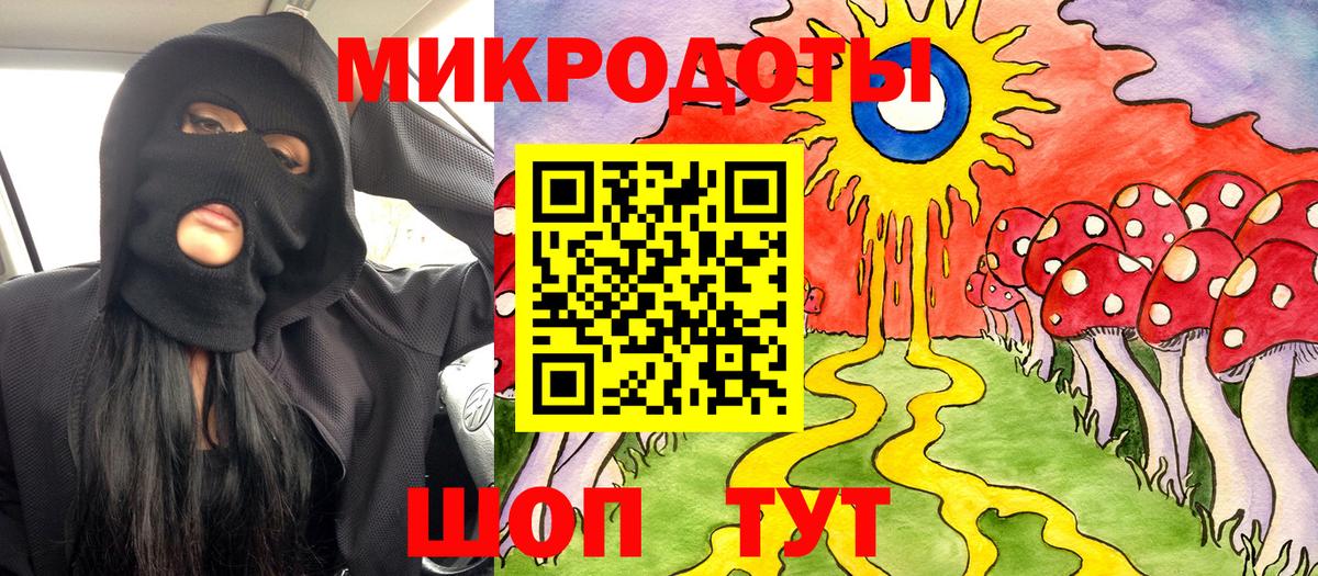 Псилоцибиновые грибы Psilocybine cubensis Моздок